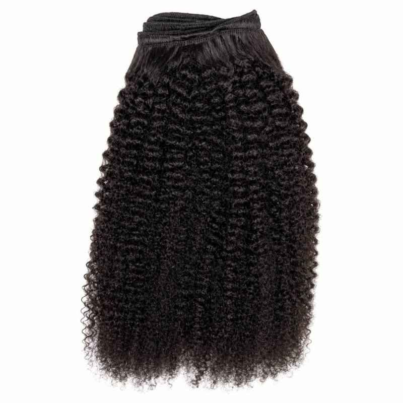 Transform Your Look with Afro Kinky Curly Clip-In Extensions